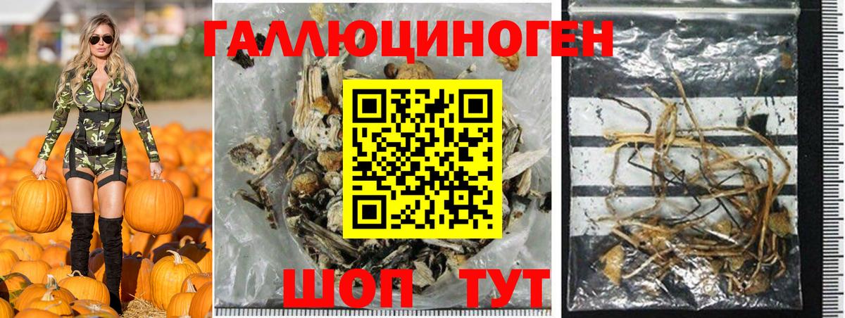 Галлюциногенные грибы Psilocybine cubensis Когалым