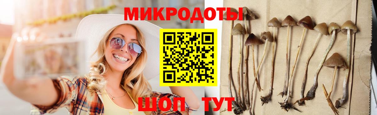 Галлюциногенные грибы Psilocybe  Псилоцибиновые грибы мицелий  Когалым  Вход с VPN 